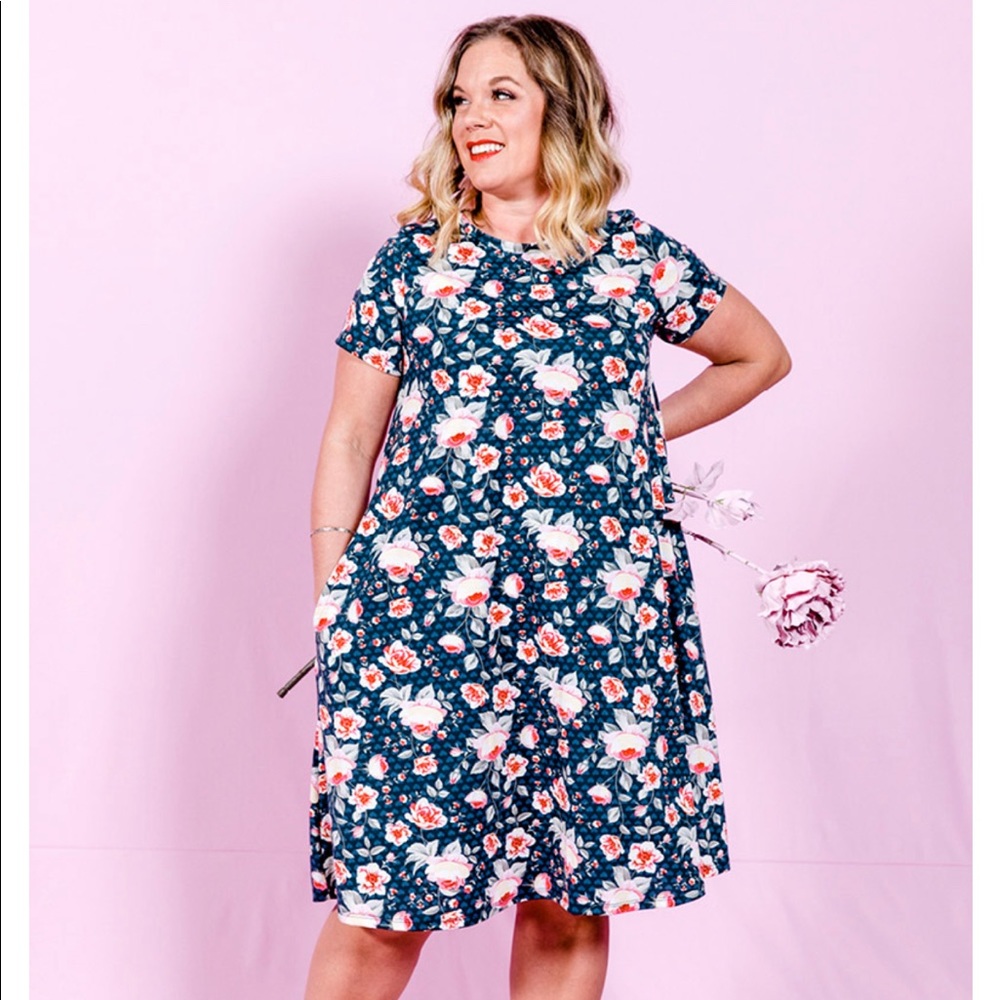 LuLaRoe Jessie Swing Dress. Size 2XL